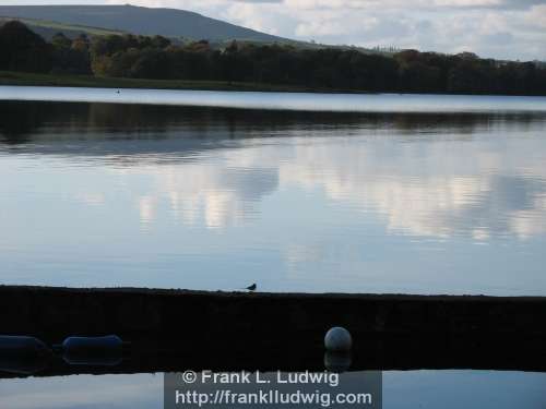 Lough Arrow